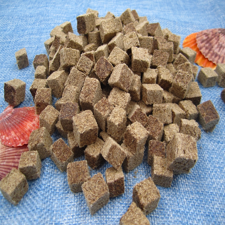 Freeze dried Tubifex food of fish